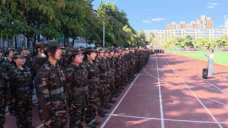 2025-12-01 11:09:09.431000